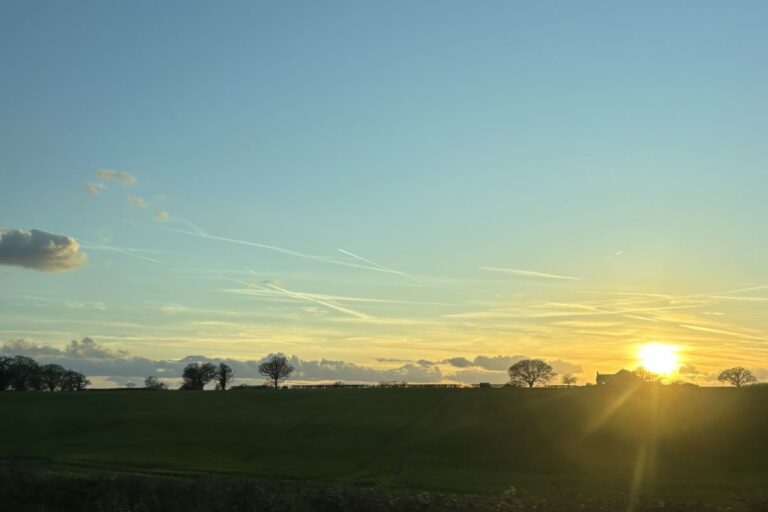 The setting sun with a clear blue sky and trees silhouetted on the horizon