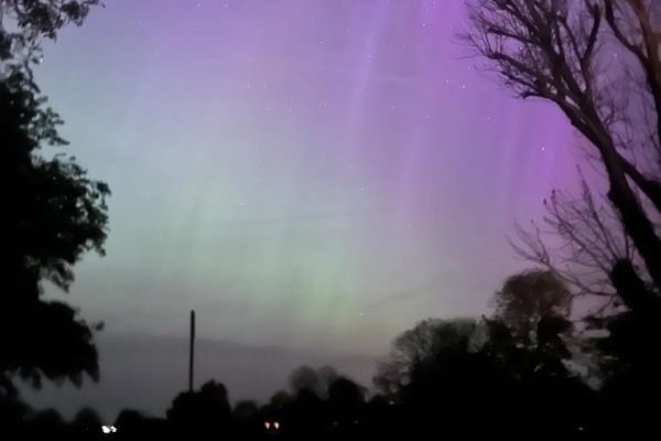 A view of the Northern Lights framed by silhouettes of trees