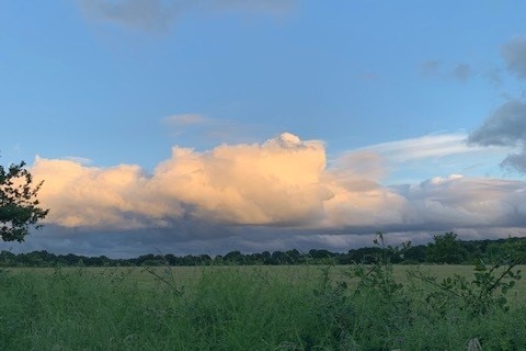 Pink tinged fluffy clouds in a blue sky over green fields