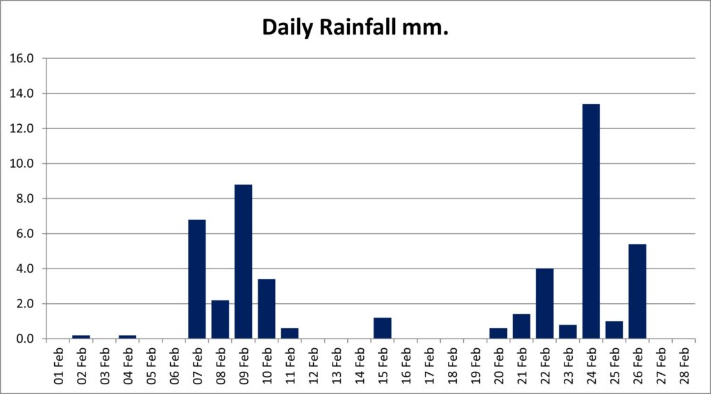 Bar chart showing daily rainfall for February 2025, with wet spells mainly from 2nd to 10th and from 21st to 26th