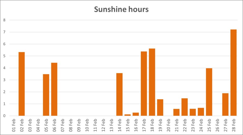 A bar chart showing sunshine hours each day during February.
