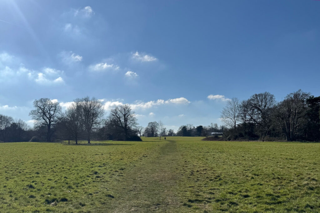 A path through a meadow surrounded by bare trees on a sunny February day