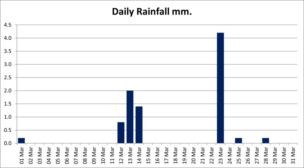 Column chart showing rain amounts per day for March 2025