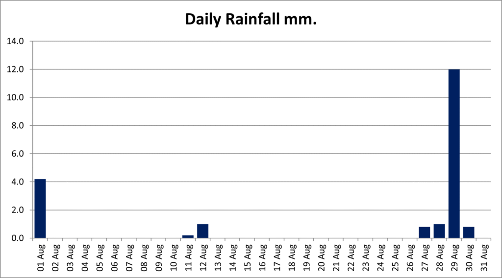 Bar chart of daily rainfall