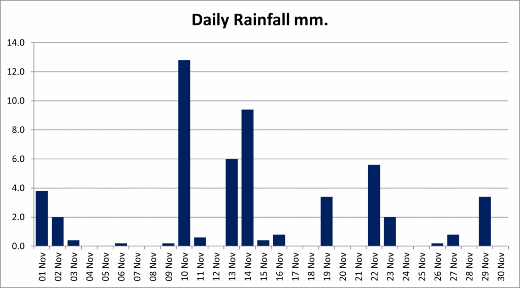 A bar chart showing the amount of rainfall each day of the month