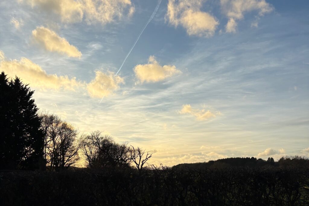 Silhouette of bare trees against a blue sky with scattered small fluffy clouds and cirrus streak