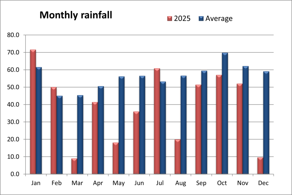 Bar chart showing rainfall by month for 2025 and for all recorded years average